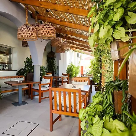 Mikes Kanarium 3* 라르나카