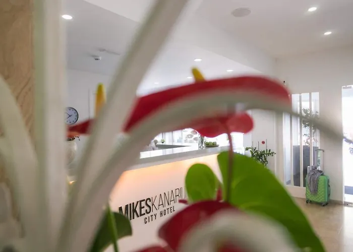 Mikes Kanarium Larnaca