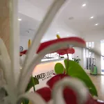 Mikes Kanarium 拉纳卡