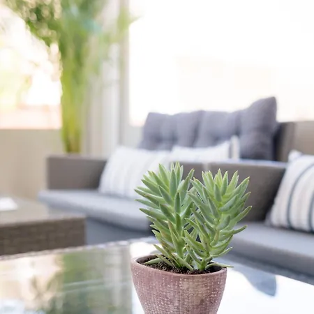 Mikes Kanarium Hotel Larnaca