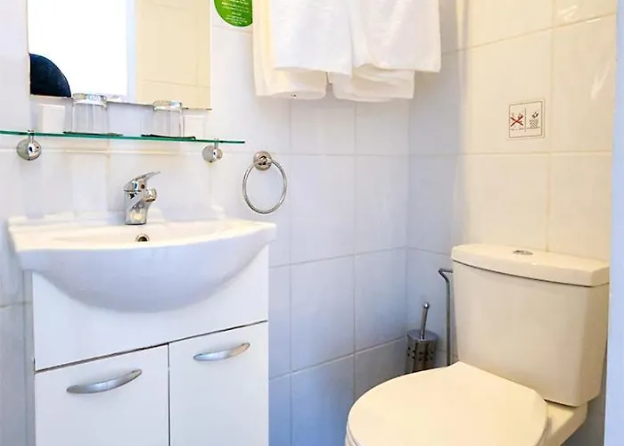 Mikes Kanarium Larnaca