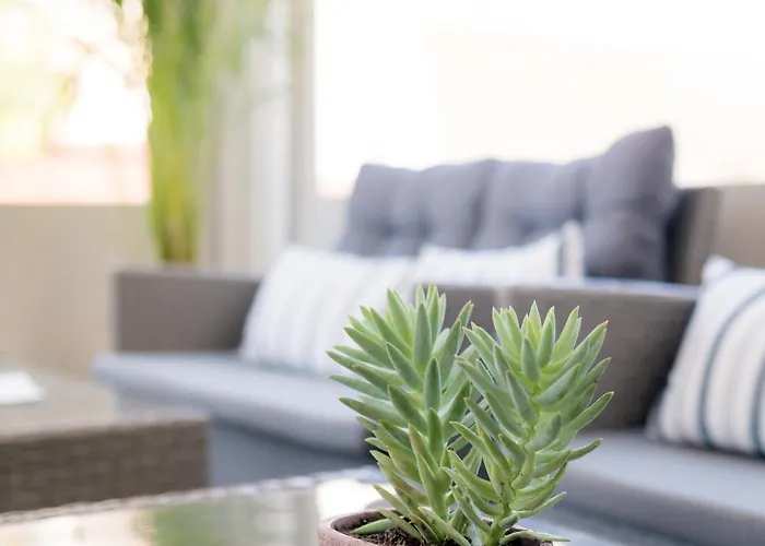 Mikes Kanarium Hotel Larnaca