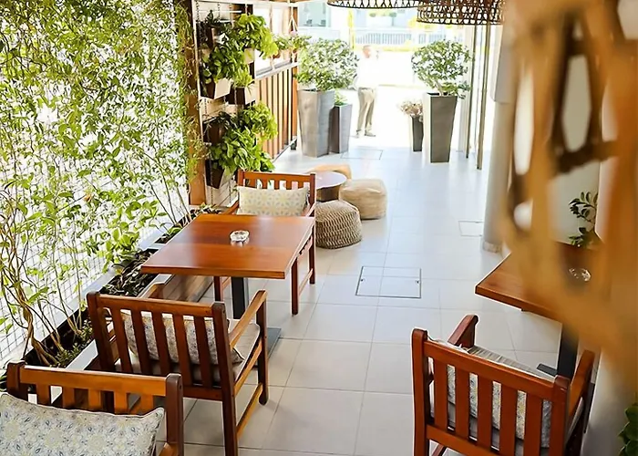 Mikes Kanarium Larnaca