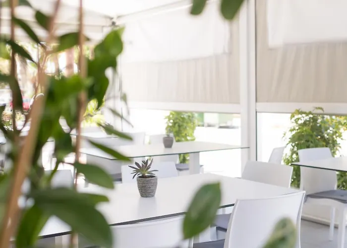 Mikes Kanarium 3* Larnaca